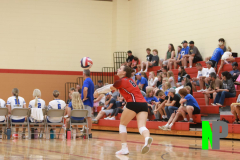 BWVB_8-24-2024_0017 BWVB_8-24-2024_0017