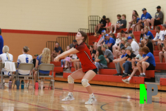 BWVB_8-24-2024_0027 BWVB_8-24-2024_0027