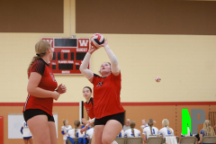 BWVB_8-24-2024_0029 BWVB_8-24-2024_0029