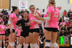 D-BWVB_9-18-2025_0087