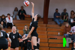 BWVB_C-JV_10-3-2024_0072 BWVB_C-JV_10-3-2024_0072
