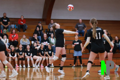 BWVB_C-JV_10-3-2024_0076 BWVB_C-JV_10-3-2024_0076