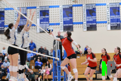 S-BWVB_V_10-16-2025_0157