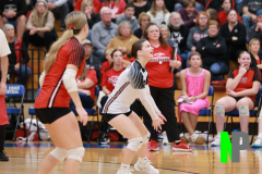 S-BWVB_V_10-16-2025_0174