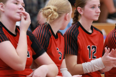 S-BWVB_V_10-16-2025_0208