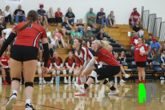 BWVB_V_10-3-2023_0087 BWVB_V_10-3-2023_0087