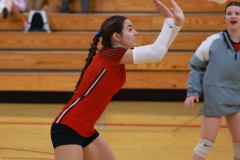 BWVB_V_10-3-2024_0005 BWVB_V_10-3-2024_0005