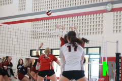 D-BWVB_V_9-11-2025_0031