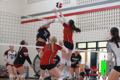 D-BWVB_V_9-11-2025_0037