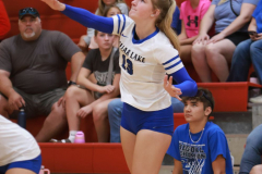 CLVB_8-24-2024_0033 CLVB_8-24-2024_0033