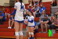 CLVB_8-24-2024_0043 CLVB_8-24-2024_0043