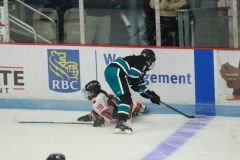 FUSION_2-29-2024_0246