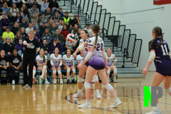 S-GBVB_11-1-2025_0034