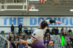 S-GBVB_11-1-2025_0041