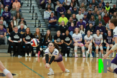 S-GBVB_11-1-2025_0049