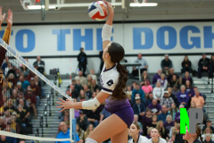 S-GBVB_11-1-2025_0063