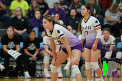 S-GBVB_11-1-2025_0065