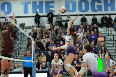 S-GBVB_11-1-2025_0069