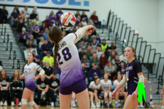 S-GBVB_11-1-2025_0084