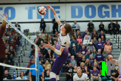 S-GBVB_11-1-2025_0089