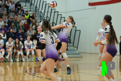 S-GBVB_11-1-2025_0108