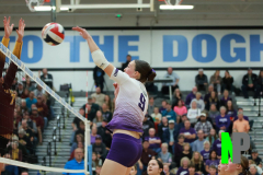 S-GBVB_11-1-2025_0117