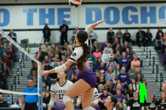 S-GBVB_11-1-2025_0134