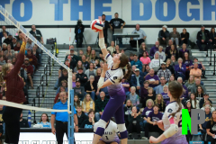 S-GBVB_11-1-2025_0145