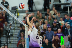 S-GBVB_11-1-2025_0154