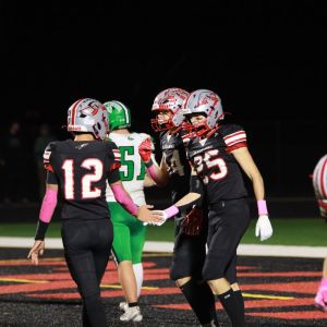 S-BWFB_-10-10-2025_0146