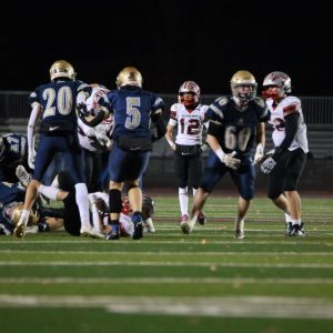 S-BWFB_11-7-2025_0075