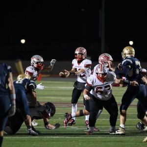 S-BWFB_11-7-2025_0146