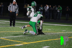 D-OSCFB_-10-10-2025_0010