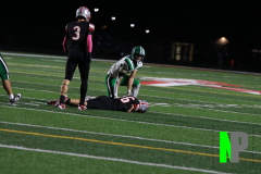 D-OSCFB_-10-10-2025_0013