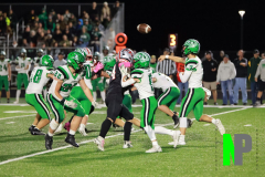 S-OSCFB_-10-10-2025_0053