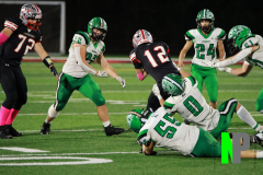 S-OSCFB_-10-10-2025_0061