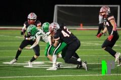 S-OSCFB_-10-10-2025_0066