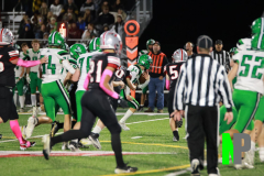 S-OSCFB_-10-10-2025_0078