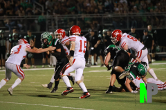 S-OSCFB_10-3-2025_0208