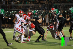 S-OSCFB_10-3-2025_0209