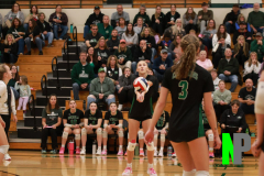 OSCVB_10-26-2024_0048 OSCVB_10-26-2024_0048
