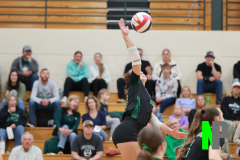 S-OSCVB_-10-9-2025_0032