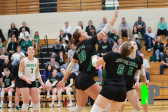 S-OSCVB_-10-9-2025_0052