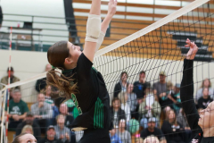 S-OSCVB_-10-9-2025_0059