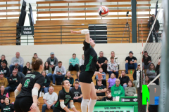 S-OSCVB_-10-9-2025_0066