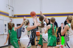 S-PFCGBB_12-12-2025_0062