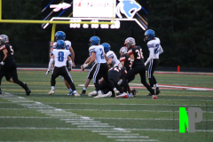 D-SCCFB_9-5-2025_0003