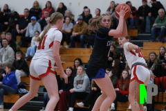 D-SCCGBB_2-3-2026_0008