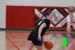 D-SCCGBB_2-3-2026_0035