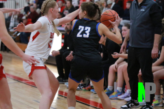 D-SCCGBB_2-3-2026_0042